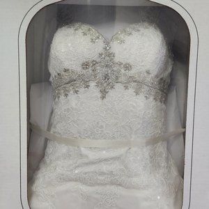 Preserved Wedding dress